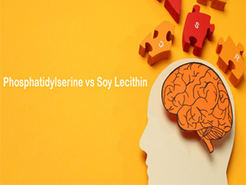 Phosphatidylserine vs Lecithin？